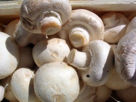 Pomita