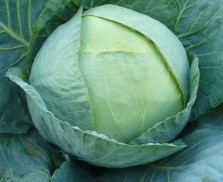 Salata de varza cu smantana
