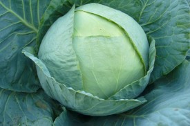 Salata de varza cu smantana