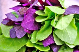 ciorba-de-loboda-cu-omleta