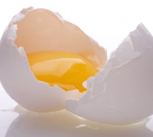 egg