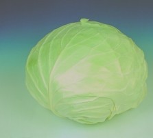 varza de toamna