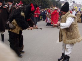 Jocul ursului