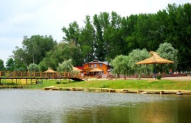 balta-alba