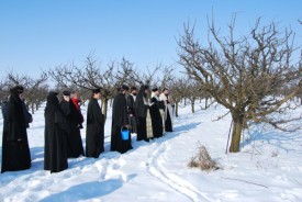 traditii de sfantul trifon