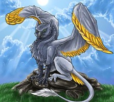 grifon